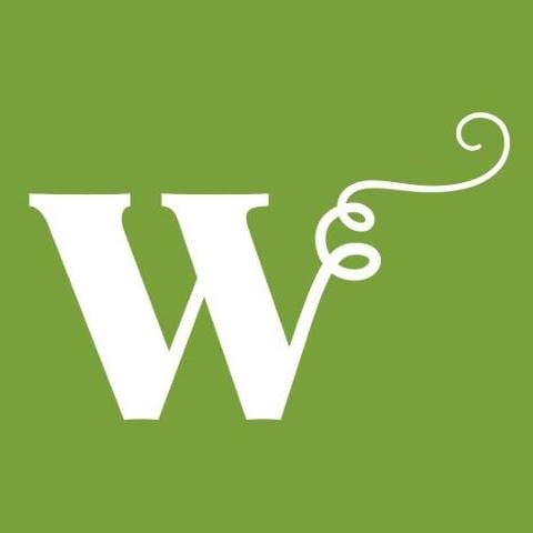 White letter W with a flourish